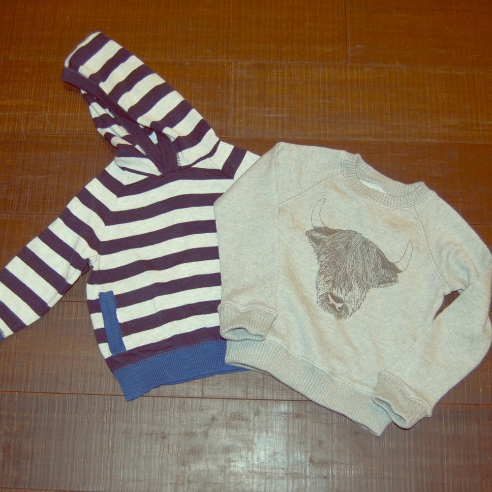 Two sweatshirts- highland cow and striped hoodie